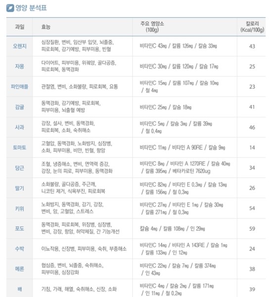  블로그 최적화 테스트 과일추천