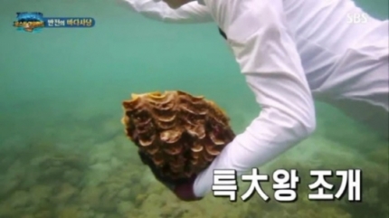  정글의 법칙' 이열음에게 불똥 튄 태국 대왕조개 채취 논란..정법 폐지가 답이다..진짜