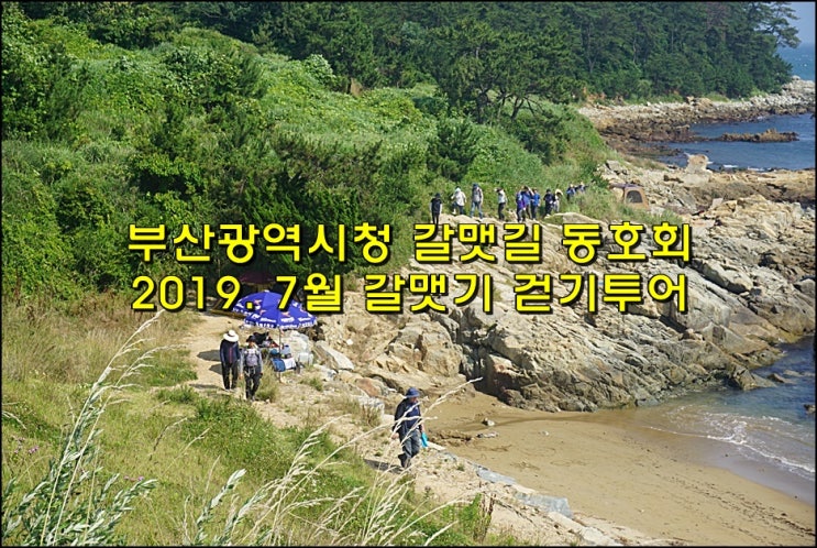  부산광역시청 갈맷길 동호회 7월 갈맷길 걷기 투어(일광~기장군청~대변항~해동용궁사~송정)