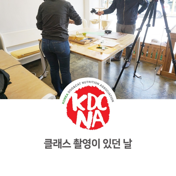  [반려동물 영양 전문 교육] 강아지 고양이 송어 특식 만들기 촬영일_57