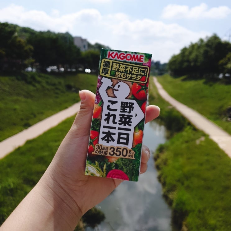  아침식사대용 가고메주스와 함께 베지업 스토리 2주차 후기