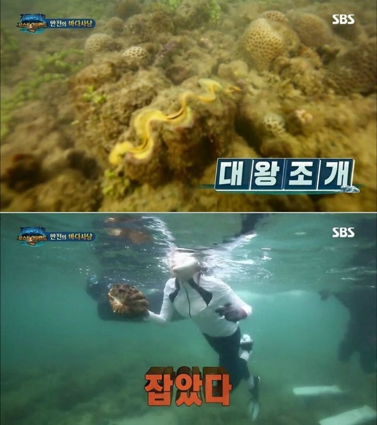  배우 이열음 대왕조개 채취 문제점은??