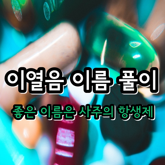 이열음 다지음 이름 풀이 - 정글의 법칙 대왕조개 멸종위기 채취 태국 국립공원 고발 징역 이열음 다지음 이름 풀이 - 정글의 법칙 대왕조개 멸종위기 채취 태국 국립공원 고발 징역