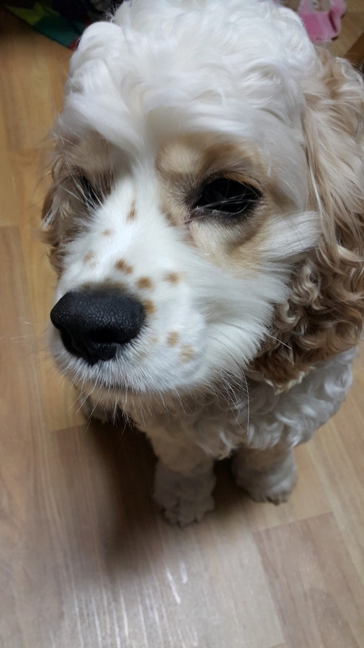  둘째, 잘생긴 빈 입니다~