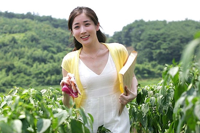 이장과 군수 줄거리, 결말, 비하인드