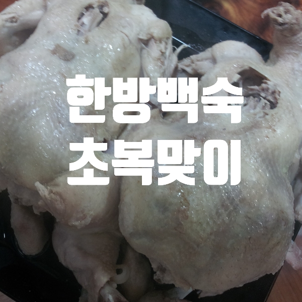 2019년 초복 한방 닭백숙 만들기   복날 영접하는 자세