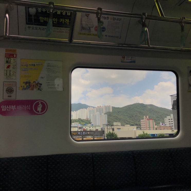  완벽한 하루 ! 텐동 코하루  그리고 다대포바다