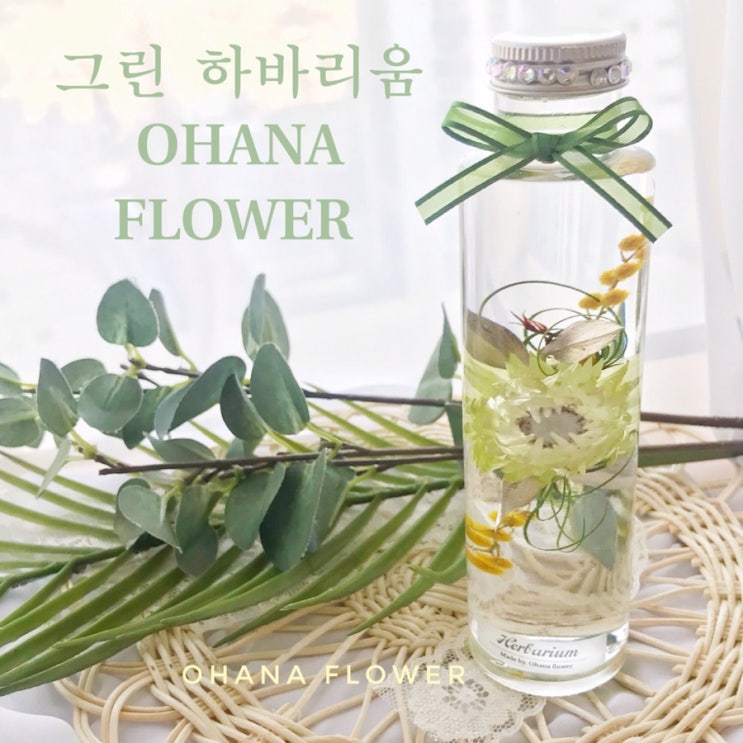 [부산하바리움] 자연을 담아낸 그린하바리움 / 부산 수영 광안 프리저브드플라워 전문 스튜디오 오하나플라워