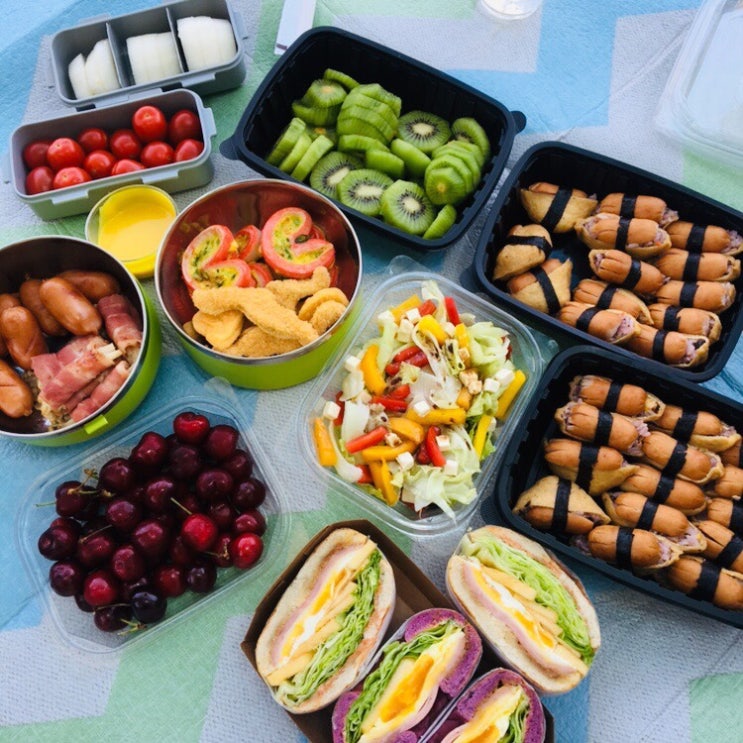 대전 한밭수목원 20190526