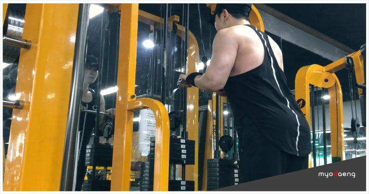  [묘댕]남자초보벌크업팔(삼두)운동 케이블푸쉬다운 효과(좋은점)/자세/주의사항