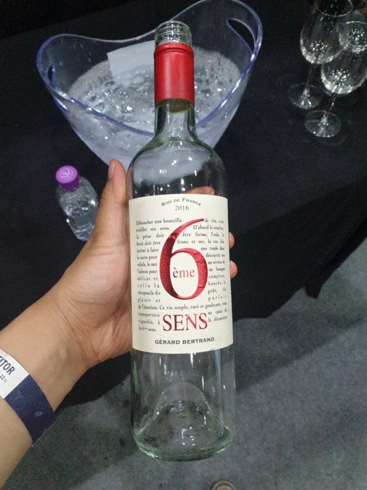  (와인 시음노트) 제라르 베르트랑 시지엠 성스 블랑 2016