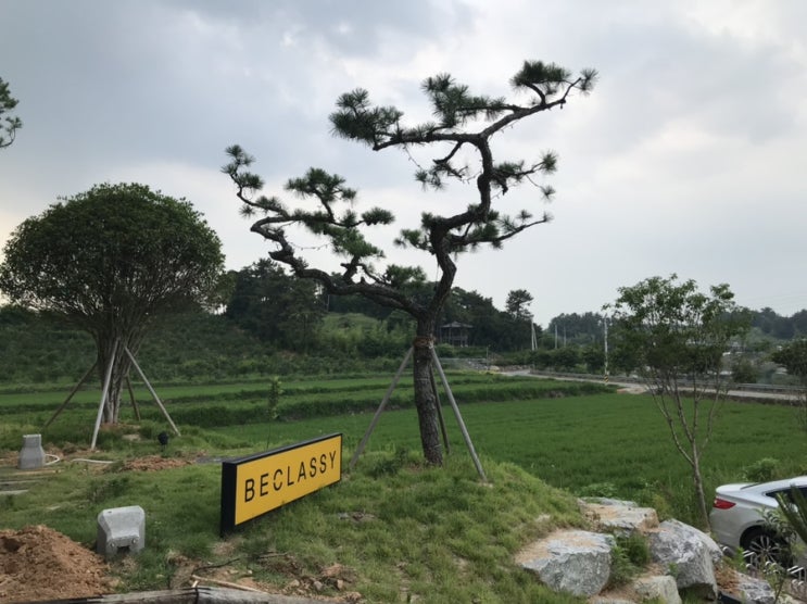 나주, 크루아상 식빵 달인의 카페 ‘비클래시’