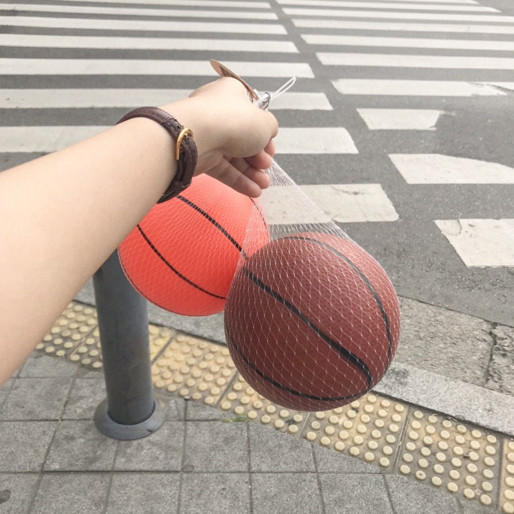  D-133  성경퀴즈대회 준비하기