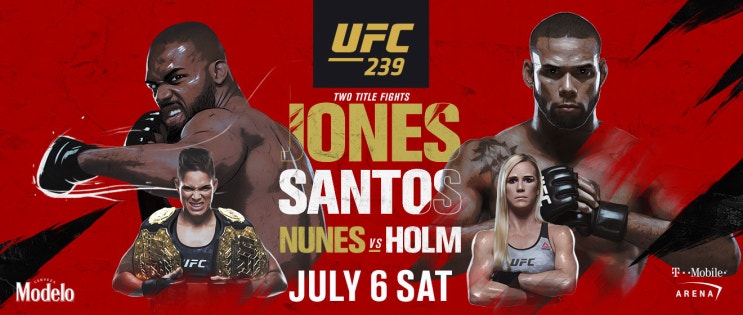 [UFC 239] 경기 예상 (존 존스 VS 티아고 산토스)