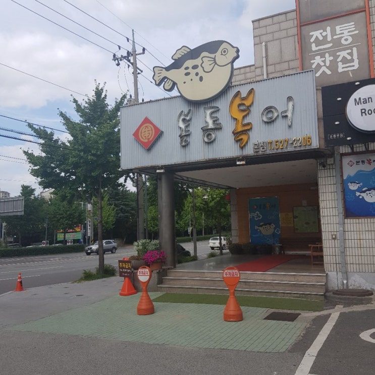  대구복어 본동복어