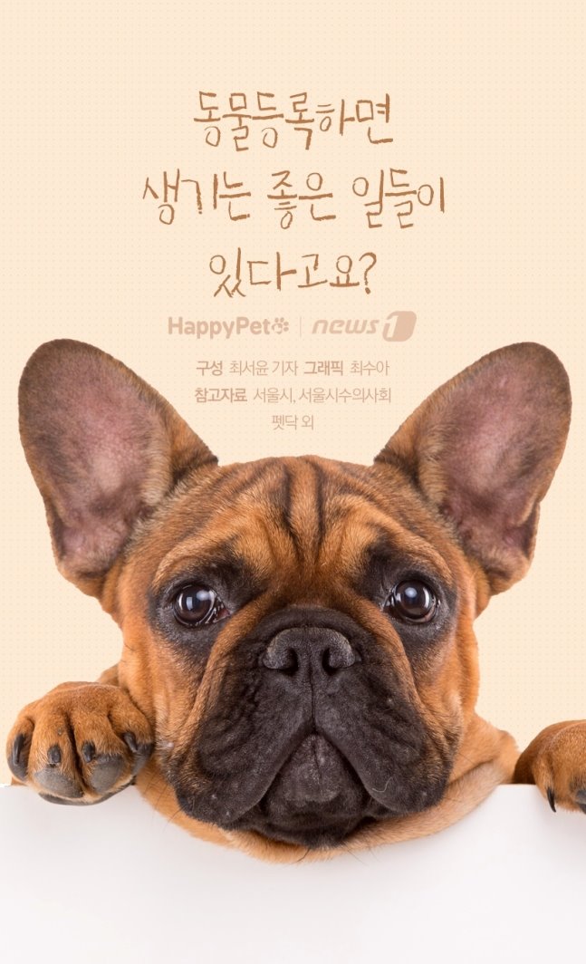  [펫카드]반려견 동물등록하면 생기는 좋은 일들