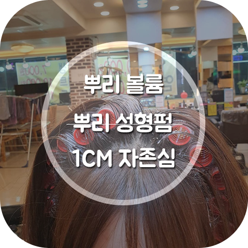  안산미용실에서 엣지 있는 인싸 스타일 뿌리 성형펌을 하자