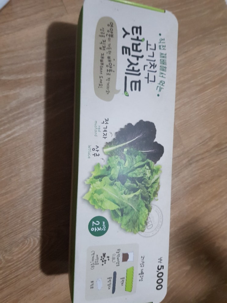  다이소 고기친구 텃밭세트