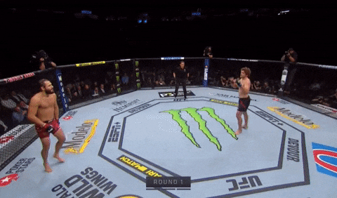 UFC 239 : 존스 vs 산토스 피니시 영상, 미디어 판정 및 뒷이야기