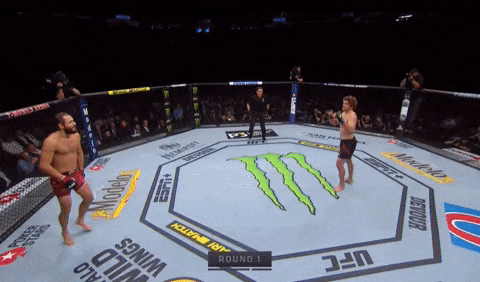 UFC 239 : 존스 vs 산토스 피니시 영상, 미디어 판정 및 뒷이야기 UFC 239 : 존스 vs 산토스 피니시 영상, 미디어 판정 및 뒷이야기