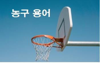  농구 용어 골텐딩 바스켓 인터피어 아이솔레이션 더블팀 등