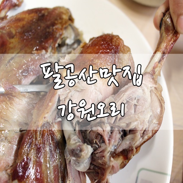  팔공산밥집 팔공산오리백숙 잘하는 강원오리에서 맛본 황토오리진흙구이 jmt