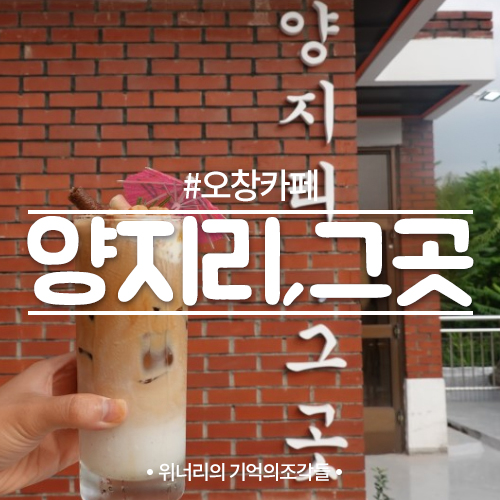  오창카페 사진맛집 양지리, 그 곳