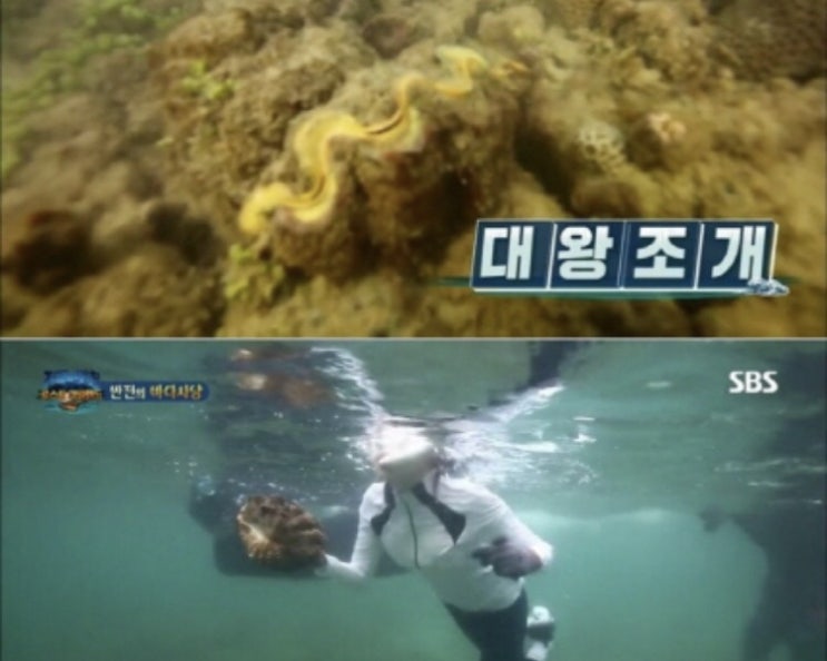  이열음 나이 윤영주 딸 대왕조개 5억 징역 인스타그램