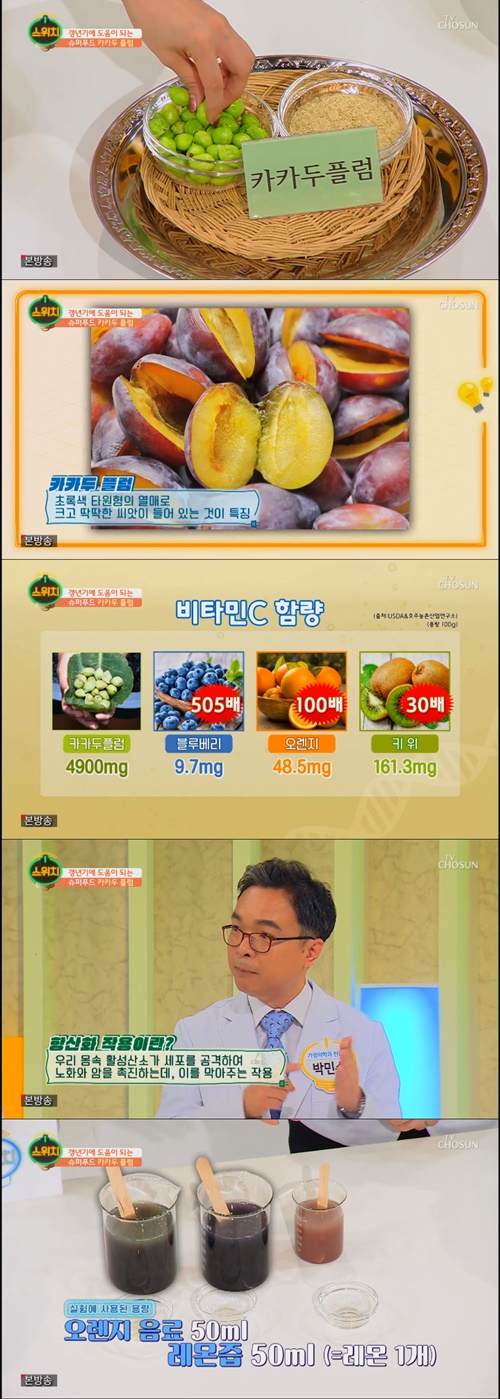  노화방지와 비타민C의 대장인 카카두플럼으루 내 건강 지키즈아~