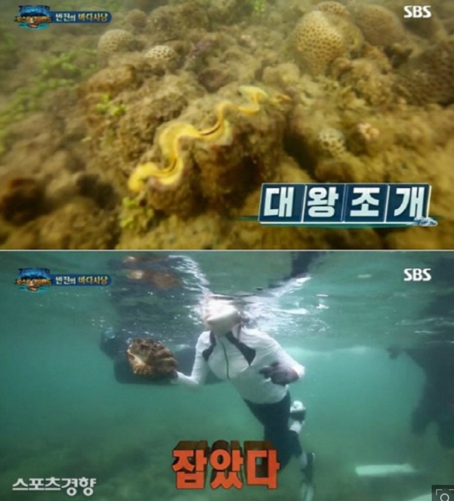  정글의법칙'위기"이열음,대왕조개 채취 논란