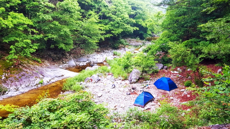  비극으로 끝날 뻔한 삼척 응봉산 덕풍계곡 용소골 백패킹