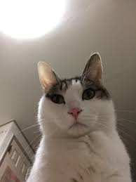  우루과이 칠레 메시 연관성