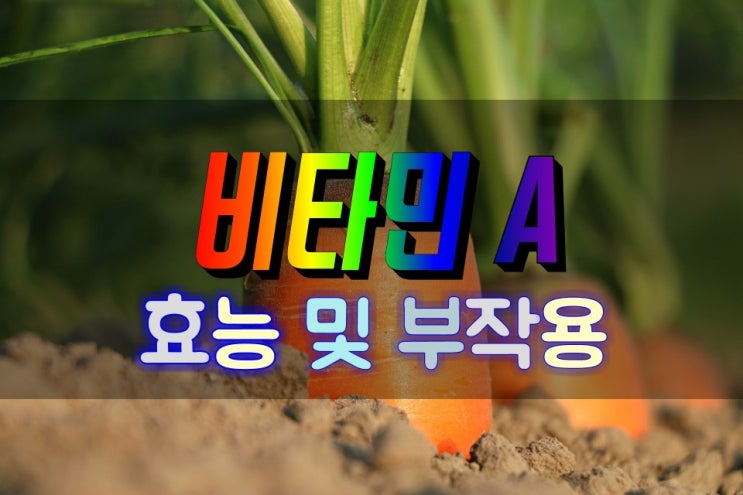  비타민A 효능 및 부작용 심층분석