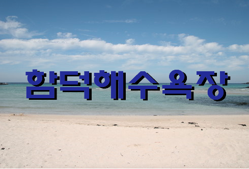  함덕해수욕장 제주바다에 죠스가 출몰했습니다.