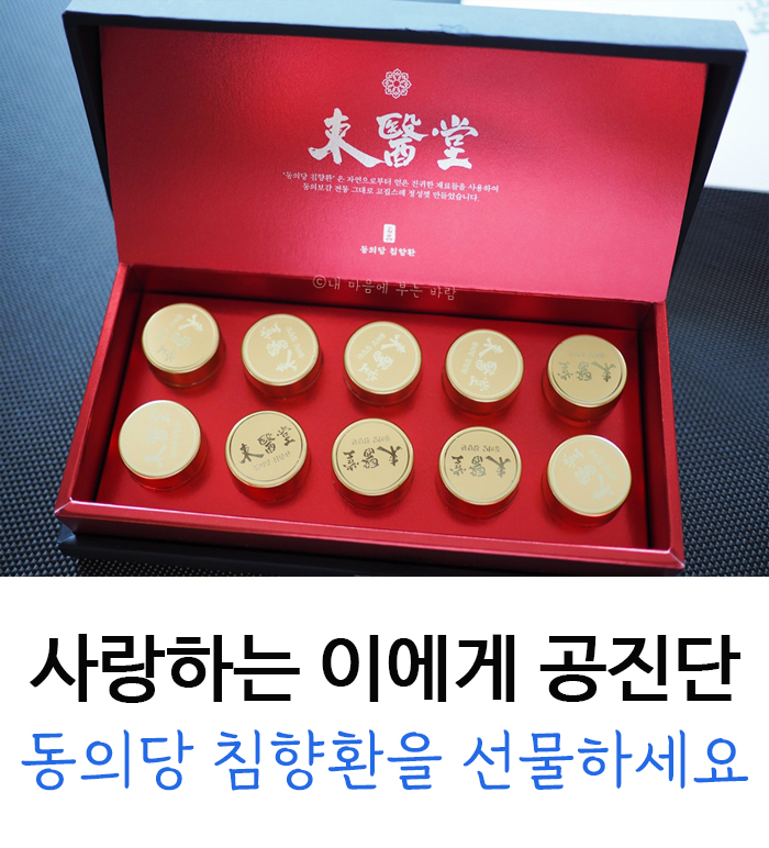  부모님 남편 선물 : 공진단 (동의당 침향단) 침향 효능