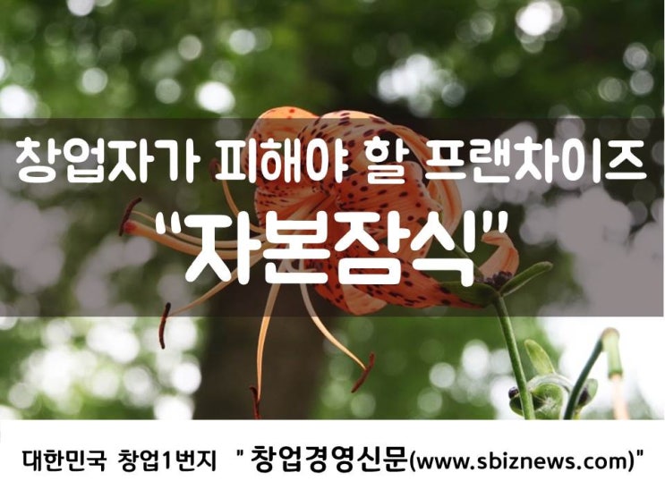  창업자가 피해야 할 프랜차이즈 “자본잠식”