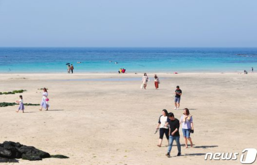  제주 해변에 8년만에 '상어 출현'…함덕해수욕장 1시간여 입욕 통제