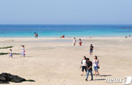 제주 해변에 8년만에 '상어 출현'…함덕해수욕장 1시간여 입욕 통제