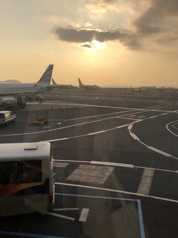  제주도 여행