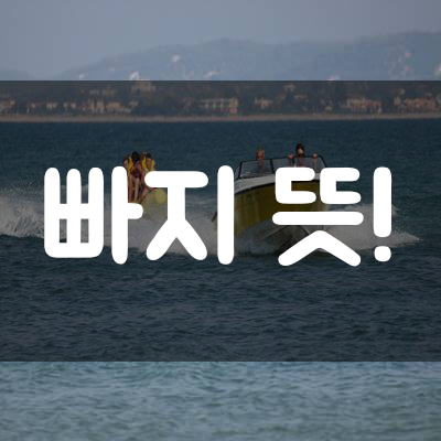  【빠지 뜻】 // 제대로 알고 계신가요??