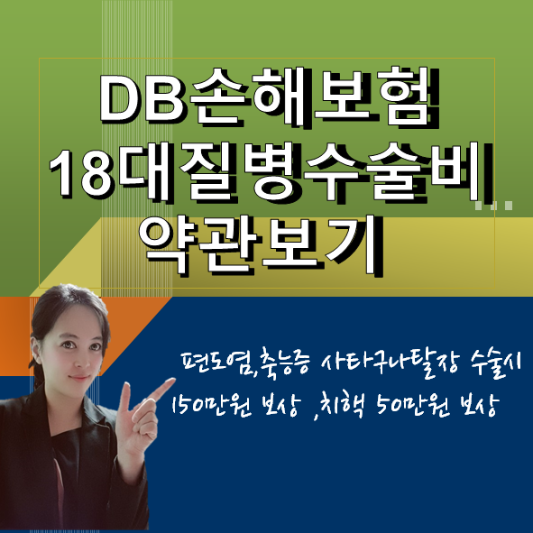  DB손해보험 18대질병수술비 약관알기