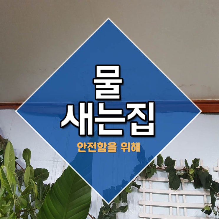  물새는집 안전함을 위해