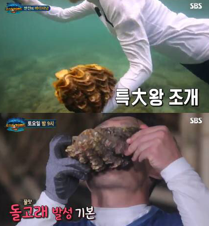  [이쓔] 태국측 '정글의 법칙' 대왕조개 채취로 경찰에 고발
