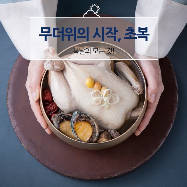  무더위의 시작 초복! 복날의 모든 것!