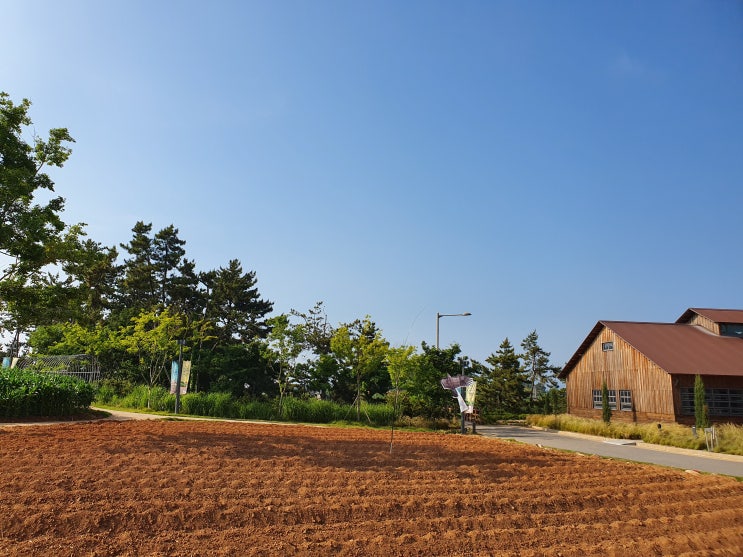  국내여행/ 군산 지린성 고추자장면 + 고창 상하목장, 매일유업 견학