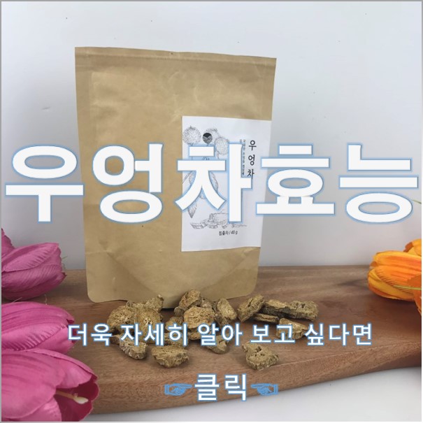  우엉차 와 우엉차효능 에 대해 알아볼까요~??