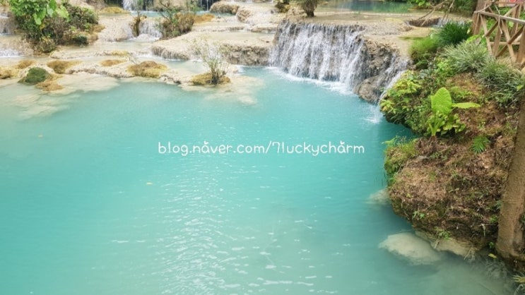 라오스 자유여행 - 루앙프라방 꽝시폭포 Kuang Si Falls