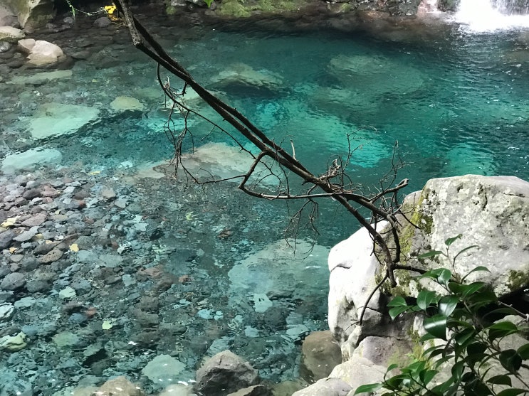  [2019] 제주도여행 2박 3일 2일차 : 쇠소깍, 원앙폭포, 사려니숲길, 산굼부리, 다시버시, 세화해변, 델문도, 정방폭포, 제주흑돈세상수라간, 속골