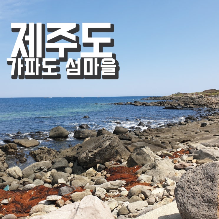  제주여행 한달살기 하고싶은 곳 가파도_2일