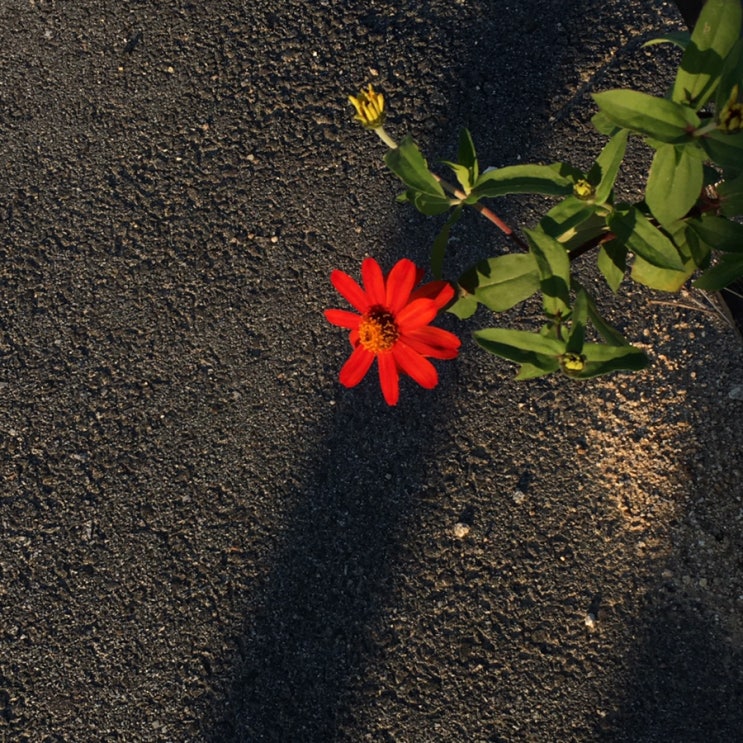  ~ 7.8